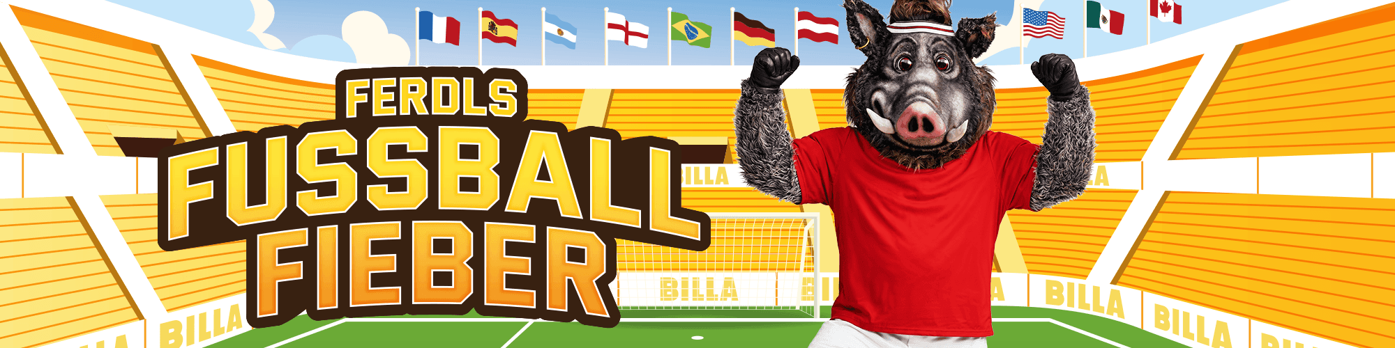 Ferdls Fußball Fieber